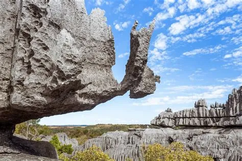  A Floresta de Pedras de Bijie: Uma Maravilha Natural Que Te Transportará para Outro Mundo!