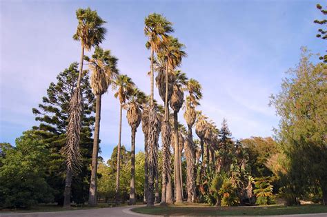 Jardim Botânico de Ortiz: Um Refúgio Tropical na Floresta Urbana!