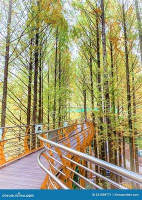  A Jangtaesan Recreational Forest: Um Refúgio Verde para Aventuras e Relaxamento em Jeju!