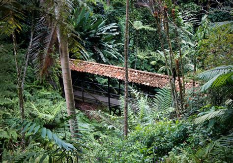 O Jardim Botânico de Armenia: Um Oásis Tropical de Beleza e Tranquilidade na Cordilheira dos Andes!