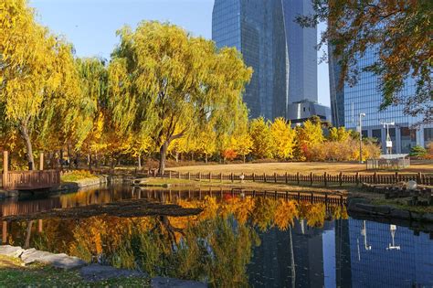 Parque Ecológico de Yeouido: Um Refúgio Verde no Coração Vibrante de Seul!