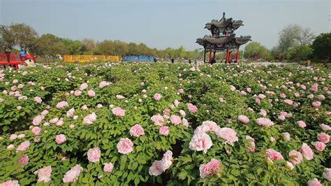 Parque Xingwen! Uma Jornada Mística através da História e da Natureza em Heze!